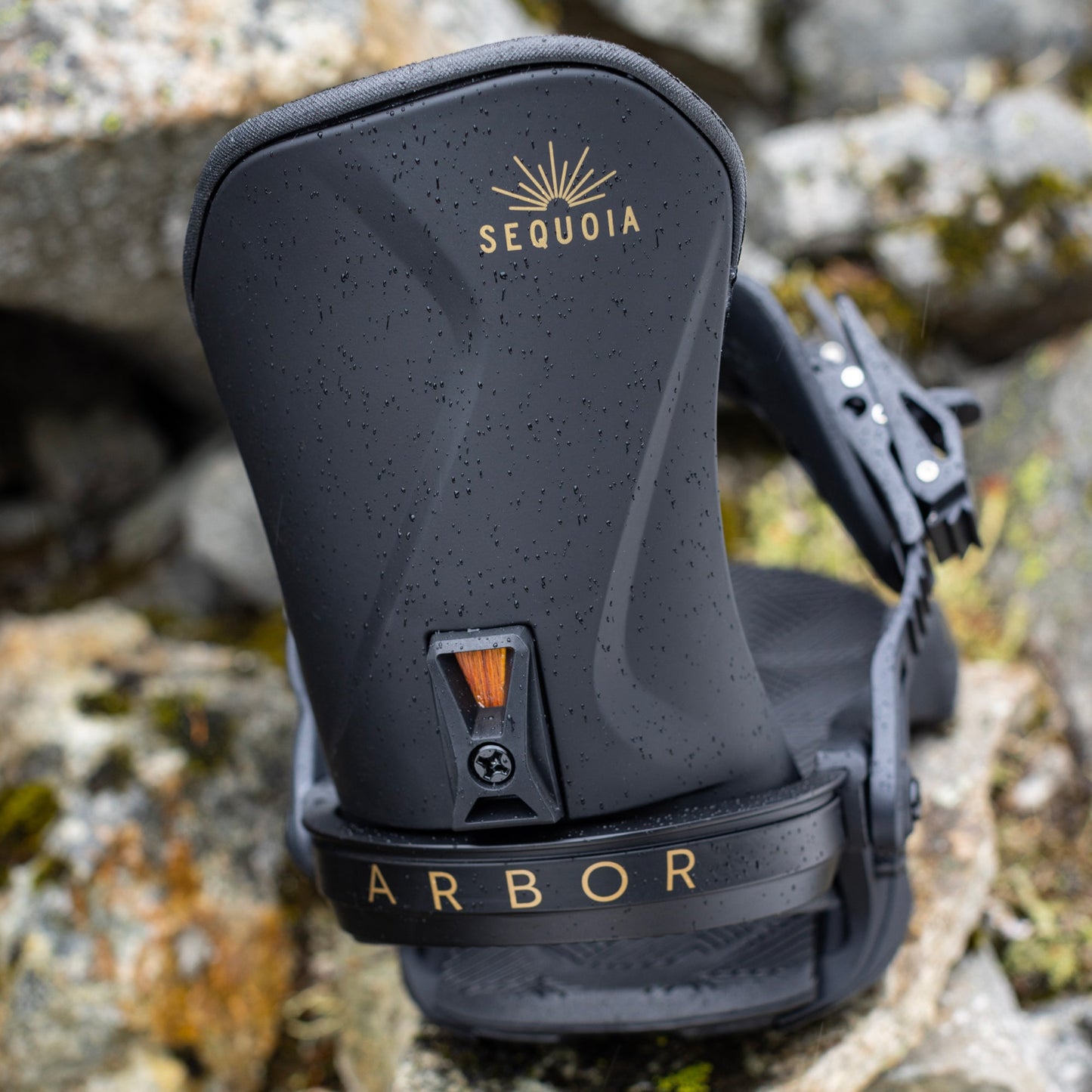 Arbor Sequoia Black women's bindings s/m