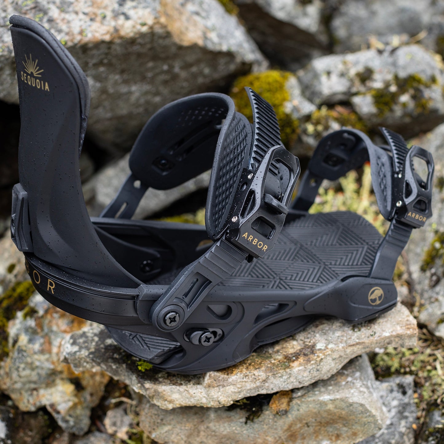 Arbor Sequoia Black women's bindings s/m